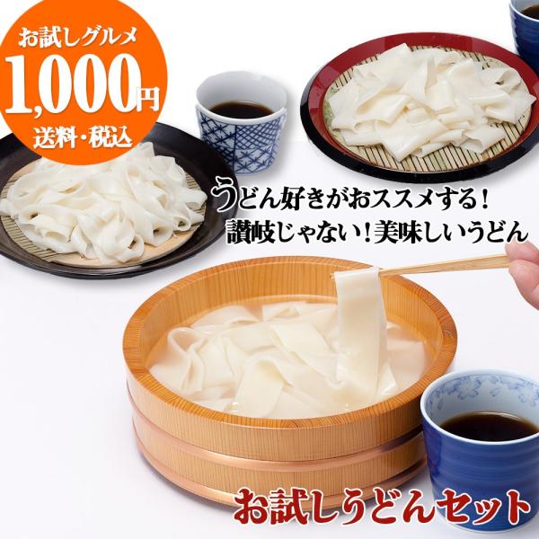 うどん ひもかわうどん3種類食べ比べセット 帯麺 並麺 半生ひもかわ つゆ4袋 ポイント消化 ゆうパ...