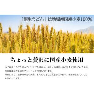 うどん 桐生うどん 270g×3袋 ゆうパケッ...の詳細画像4