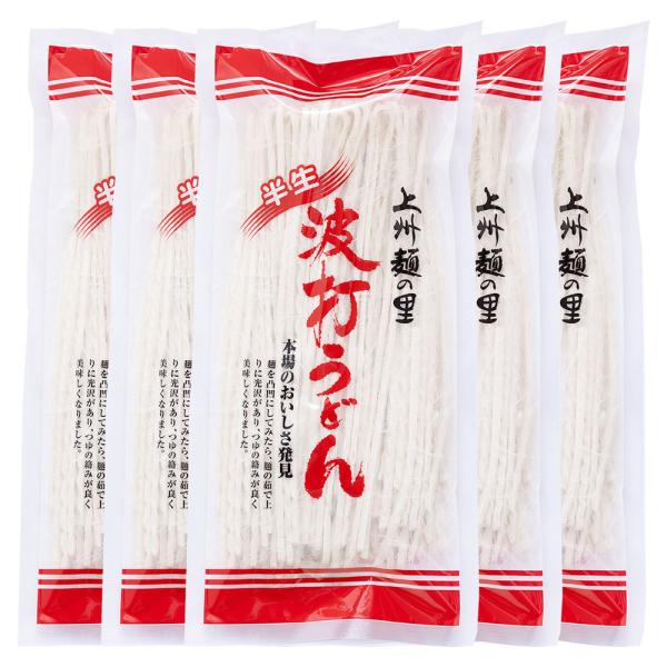 桐生の波打うどん ねじれうどん 5袋（300g×5） 送料無料 半生麺 デコボコ麺 なみうちうどん ...