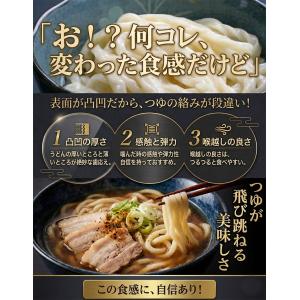 桐生の波打肉汁うどん ねじれうどん 半生麺 1...の詳細画像1