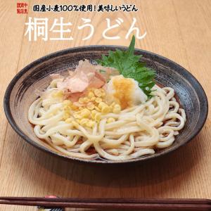 うどん 桐生うどん 便利な一人前 130g×3袋 130g×2袋+めんつゆ・天かすセット お試し ポイント消化 ラッピング不可  国産小麦 群馬｜kiryu-udon