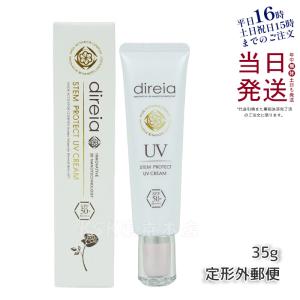 direia ディレイア ステム アンペリティ ザ クリーム 業務用 direia ディレイア ステム アンペリティ ザ クリーム 業務用