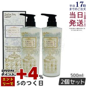 ヘアレシピ 和の実 WANOMI by HAIR RECIPE うるつやトリートメント