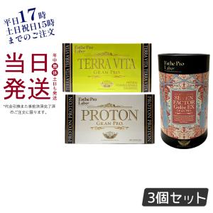 エステプロラボ テラヴィータ グランプロ 120粒 + プロトングランプロ