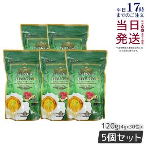 【5点セット】エステプロラボ G-デトック ハーブティー プロ 30袋 排出系 ブレンド茶 健康茶 ダイエットお茶 紅茶 送料無料
