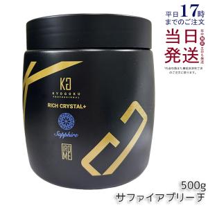 KYOGOKU ブリーチモンスター 500g KYOGOKU PROFESSIONAL ブリーチモンスター 500g KYOGOKU IROME : MICK