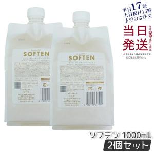 イーラル シャンプー スカルプ プルミエ バランシングシャンプー SY a