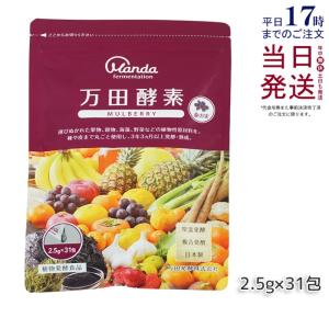 【新品】ファスティング400 エンザイム ジェリー　2個セット　ルヴィ　REVI 楽天市場】REVI ルヴィ ファスティング400シリーズ エンザイム