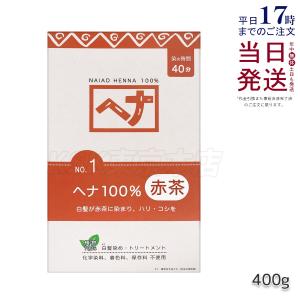 ナイアード ヘナ100％ 400g 白髪染め ヘアカラー Naiad 赤茶系 染毛料 カラー剤 カラーリング 毛染め ヘナパウダー トリートメント 天然染料