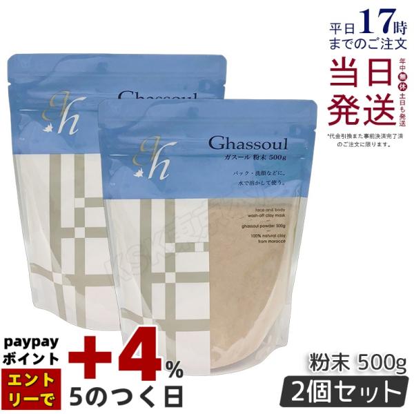 ナイアード ガスール 粉末 150g 2個セット naiad ghassoul 洗顔 クレイ 粘土パ...