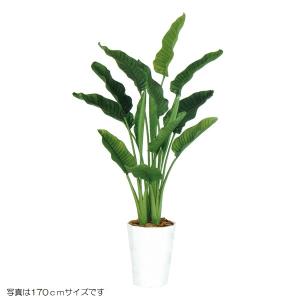人工観葉植物 ストレリチア・オーガスタ MIX 200cm 高さ200cm （P209-dt99172) （代引き不可）
