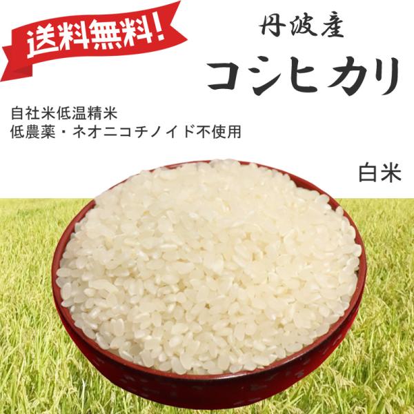 新米|令和7年産 コシヒカリ 兵庫県産 Mirakana premium 丹波産 減農薬 白米0.5...