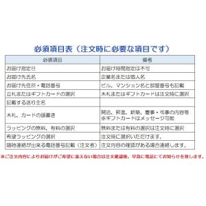 蘭生花 白大輪胡蝶蘭 5本立ち 70輪程度 つ...の詳細画像2