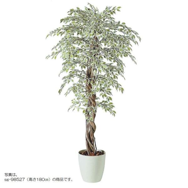 人工観葉植物 ベンジャミナスターライトリアナ 200 natural ポット付き 高さ200cm （...