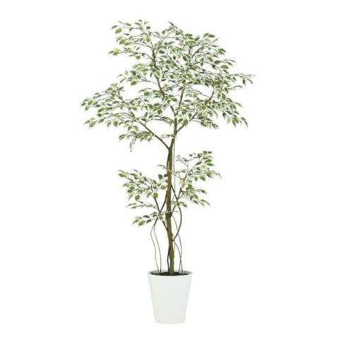 人工観葉植物 スターライト FST 150 ポット付き 高さ150cm （P55-99393) （代...