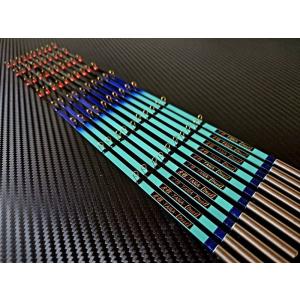 VARIVAS（バリバス） 公魚工房 ワカサギ穂先 ワークスリミテッド