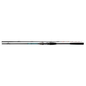 DAIWA（ダイワ） 19 バリスティック [BALLISTIC] LT 3000 288972