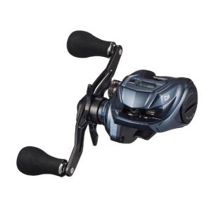 ダイワ(DAIWA) カウンター付きベイトリール 25TIERRA(ティエラ) IC