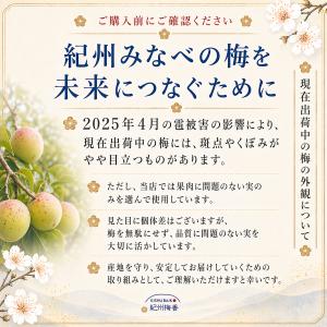 無添加 梅干し 訳あり つぶれ梅 減塩 塩分3...の詳細画像2