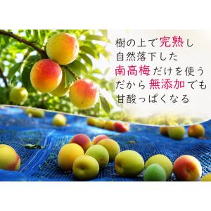 無添加 梅干し 訳あり つぶれ梅 減塩 塩分3...の詳細画像5