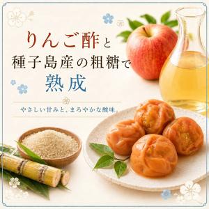 無添加 しそ梅干し 低塩 塩分9% 送料無料 ...の詳細画像2