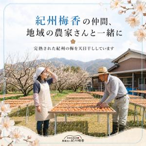 無添加 しそ梅干し 低塩 塩分9% 送料無料 ...の詳細画像3