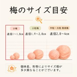 無添加 しそ梅干し 低塩 塩分9% 送料無料 ...の詳細画像4