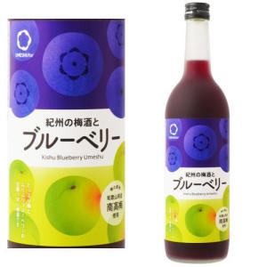 紀州のブルーベリー梅酒 720ml 梅酒 紀州 和歌山県 中野BC ブルーベリーのお酒