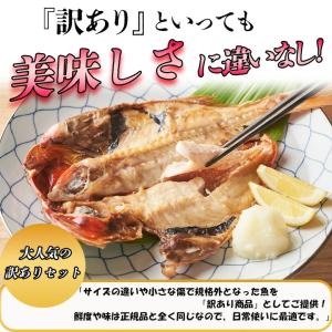 干物セット 真ほっけ入り 訳あり おまかせ B...の詳細画像3
