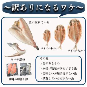 干物セット 真ほっけ入り 訳あり おまかせ B...の詳細画像4