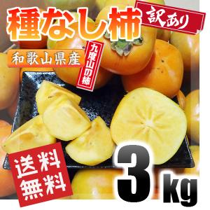 種なし柿 訳あり 和歌山県産 約3kg 送料無料(北海道、沖縄県、東北地方除く) 柿 九度山 冬 年末 ご自宅用 家庭用 果物 産地直送 食品｜kishuu-honpo