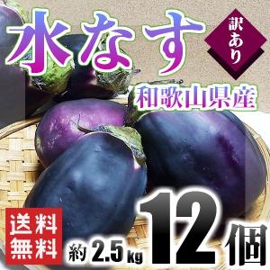 水なす 訳あり 和歌山県産 12個入り 約2.5kg 送料無料！(北海道、沖縄県、東北地方除く) 茄子 水ナス 水茄子 ご自宅用 ご家庭用｜kishuu-honpo