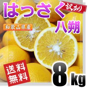 はっさく 訳あり 8kg 和歌山県産 送料無料(北海道、沖縄県、東北地方除く) 八 朔 ハッサク ご自宅用