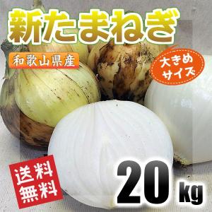 新たまねぎ 20kg L・LLサイズ 和歌山県産 秀品 送料無料！(北海道、沖縄県、東北地方除く) 玉ねぎ 玉葱 大玉