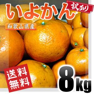 いよかん 伊予柑 訳あり 8kg 和歌山県産 送料無料(北海道、沖縄県、東北地方除く) 伊予柑 ご自宅用