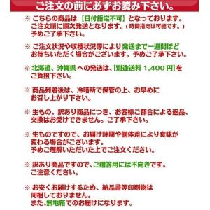 きよみオレンジ 訳あり 10kg 和歌山県産 ...の詳細画像3