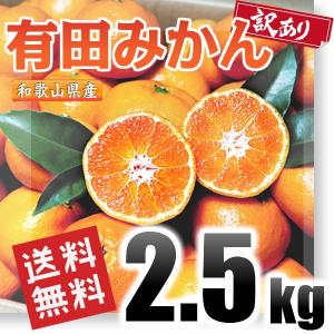 有田みかん 訳あり 2.5kg 和歌山県産 送料無料(北海道、沖縄県、東北地方除く) ミカン みかん 蜜柑 温州みかん ご自宅用 家庭用 柑橘 産地直送