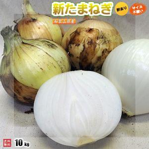 新たまねぎ ご家庭用 10kg サイズ不揃い 和歌山県産 訳あり