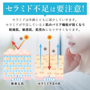 化粧水 ヒト型セラミド原液 10%配合 KIS...の詳細画像4