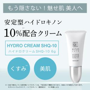 フェイスクリーム 安定型ハイドロキノン 10%...の詳細画像1