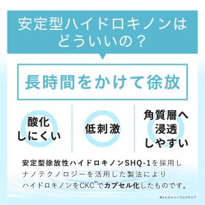 フェイスクリーム 安定型ハイドロキノン 10%...の詳細画像5