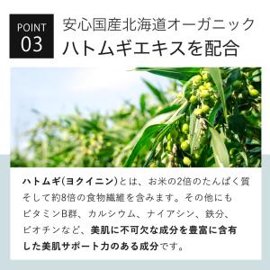 美容液 ピュアビタミンC 35%配合 KISO...の詳細画像5