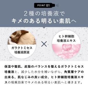 ミスト化粧水 2本セット ガラクトミセス 培養...の詳細画像4