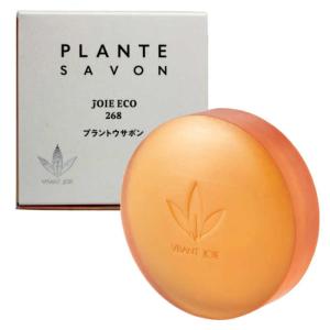 イオン化粧品 クリームソープ 洗顔クリーム 120g 温泉の恵み 美容