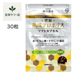 糖鎖 とうさ 顆粒タイプ 糖鎖栄養素 HBCフナト 30包 : 吉祥 ヤフー店