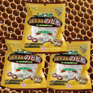 プロポリス のど飴 しょうが  サンフローラ 蜂の恵み シュガーレス ユーカリ蜂蜜 3個｜kisshou