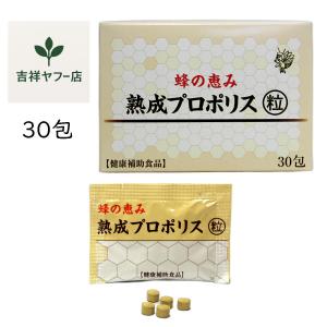 徳潤 ショウキT-1プラス 30包 選べるおまけ付き タンポポ茶 送料無料