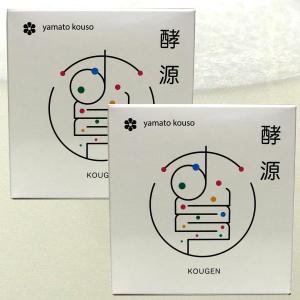 期限2026年1月28日〜29日) ファイナルフューチャー Energy Repair