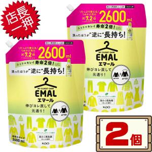 数量限定セール コストコ 花王 エマール リフレッシュグリーン おしゃれ着用 洗濯洗剤 2600ml×2個 D80 【液体 詰め替え つめかえ 送料無料エリアあり】｜kissjapan