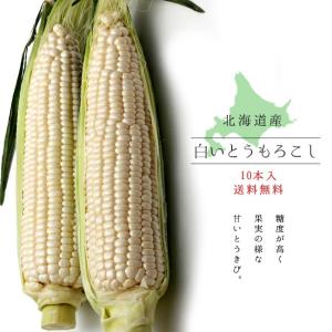 白いとうもろこし (ピュアホワイト) 北海道産直 朝もぎとう...